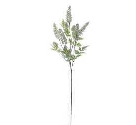 LAVANDA (9384-01)