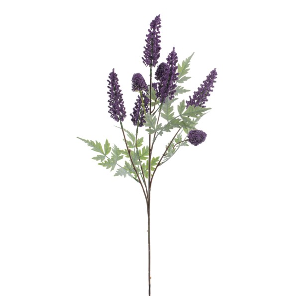 LAVANDA (9384-74)