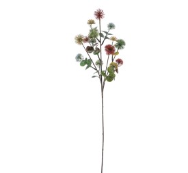 ASTER MULTI (9387-90)