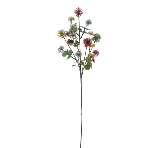 ASTER MULTI (9397-30)