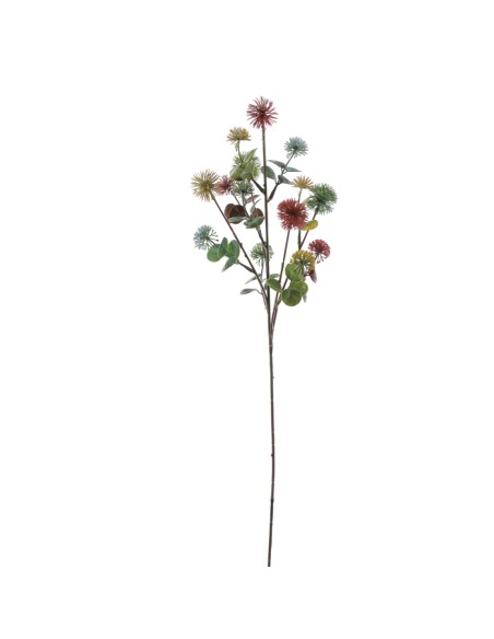 ASTER MULTI (9387-90)