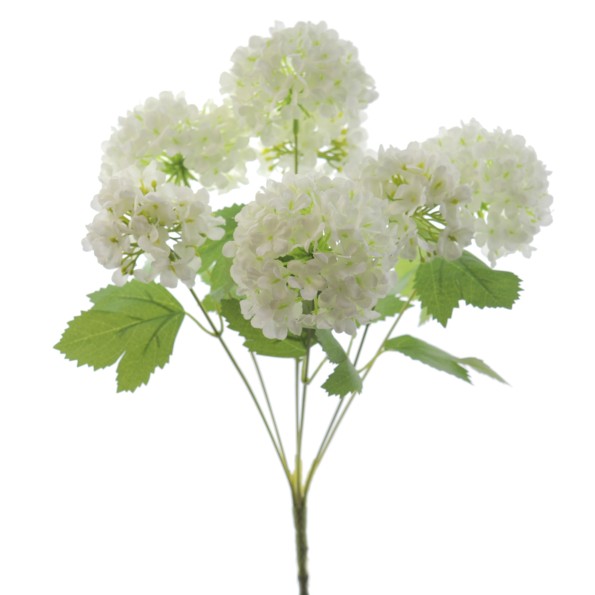 RAMO VIBURNUM X 7 (9605-01)