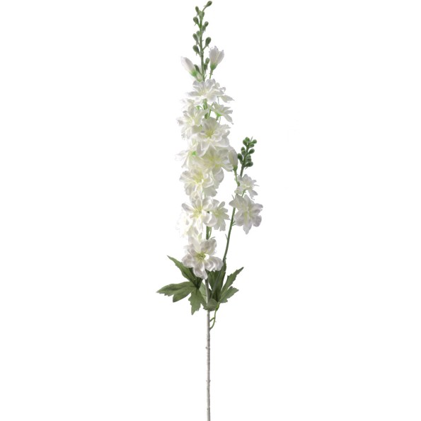 DELPHINIUM (2080-01)