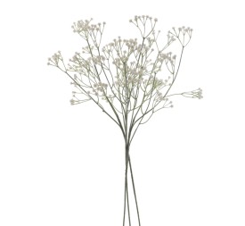 GUISOPHILA X 3 6109-11