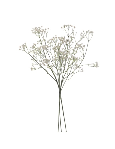 GUISOPHILA X 3 6109-11