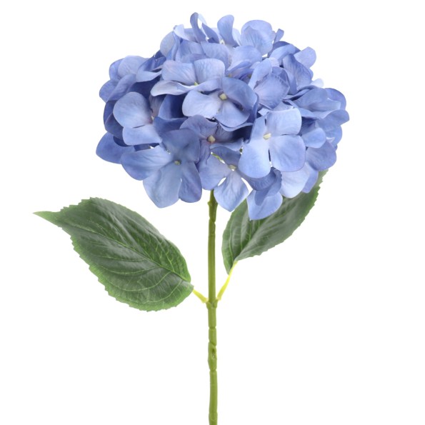 HORTENSIA (2343-10)