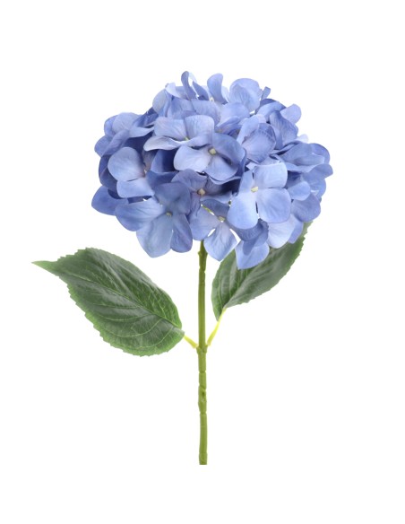 HORTENSIA (2343-10)