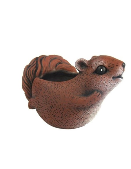 MACETERO ARDILLA COMICO