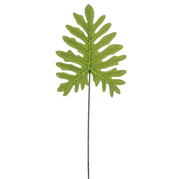 SPLIT SELLOUM 75 CMS (4236-09)