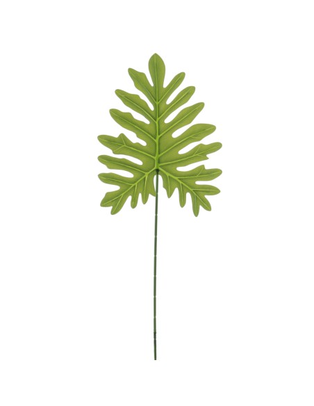 SPLIT SELLOUM 75 CMS (4236-09)