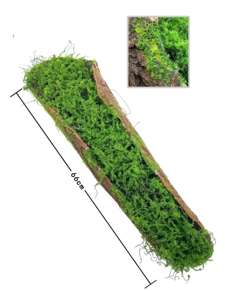 BLOQUE DE MUSGO IMITACION DE CORTEZA