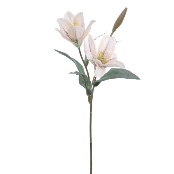 LILIUM PICK (4837-31)