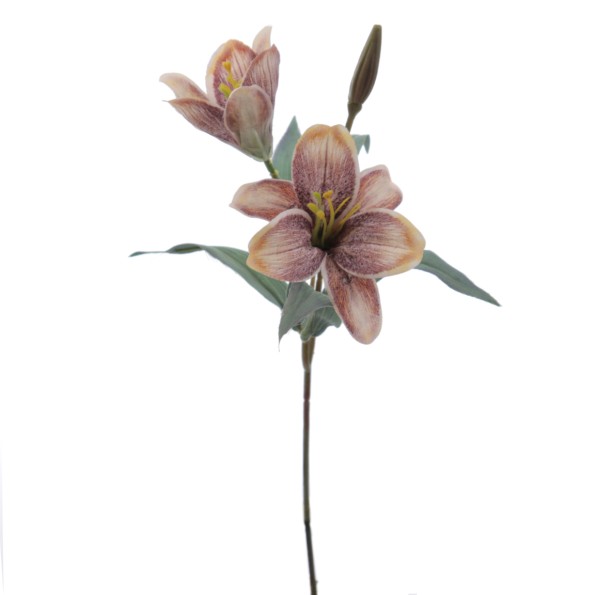 LILIUM PICK (4837-51)