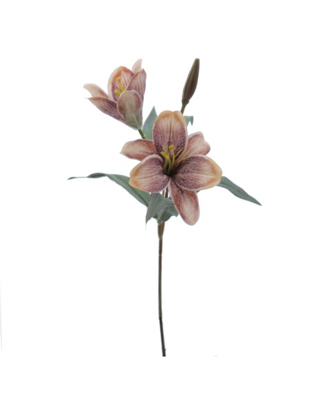 LILIUM PICK (4837-51)