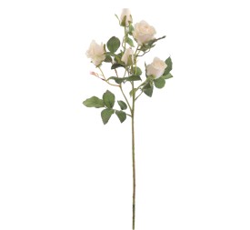 CAPULLOS X 5 ALICE (6905-01)