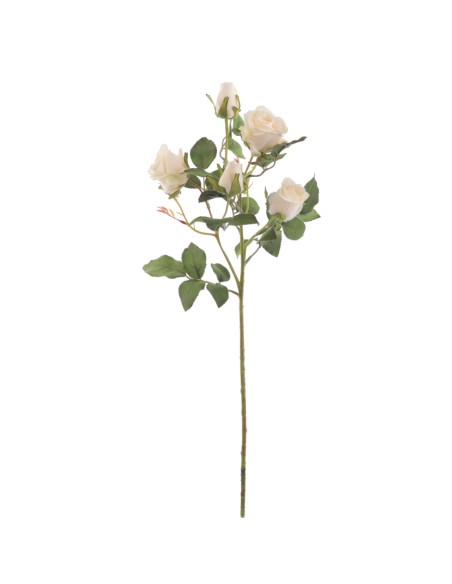 CAPULLOS X 5 ALICE (6905-01)