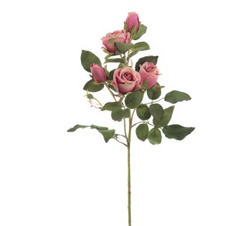 CAPULLOS X 5 ALICE (6905-07)