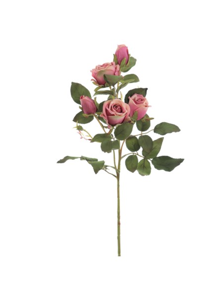 CAPULLOS X 5 ALICE (6905-07)