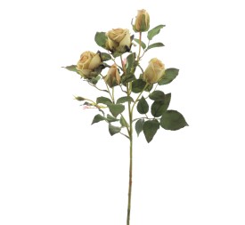 CAPULLOS X 5 ALICE (6905-09)