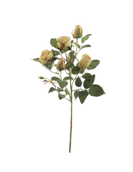 CAPULLOS X 5 ALICE (6905-09)