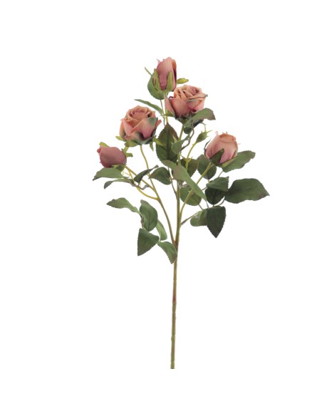 CAPULLOS X 5 ALICE (6905-051)