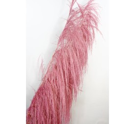 UVA STALK 180 cms. ROSA (42)