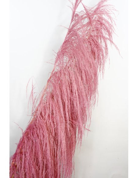 UVA STALK 180 cms. ROSA (42)