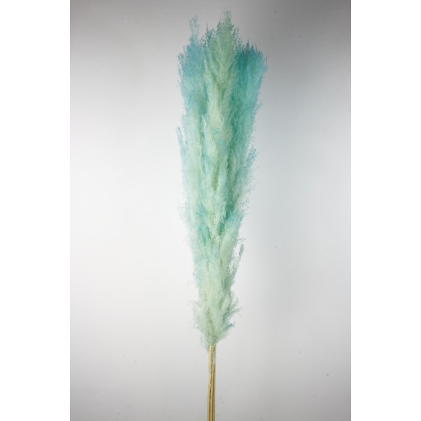 PLUMA EXTRA (PHRAGMITES) 120 CMS. AZUL (75)