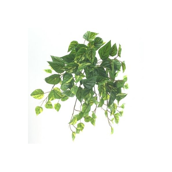 COLGANTE POTHOS  U.V. (4003-09)