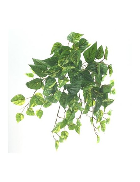 COLGANTE POTHOS  U.V. (4003-09)