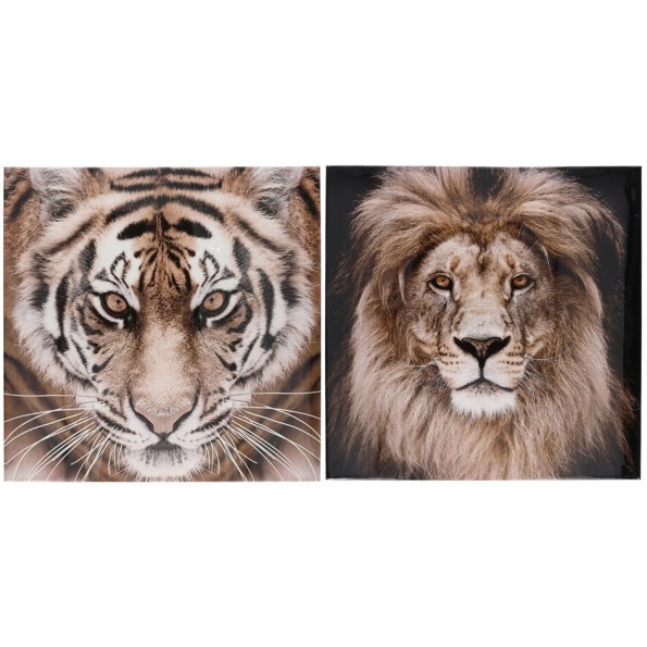 CANVAS ALTO BRILLO ANIMALS 2 SURT 40X40X1,8 CM