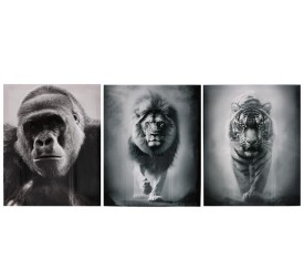 CANVAS ALTO BRILLO FACES 40X50X1,8 CM