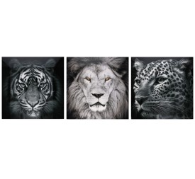 CANVAS ALTO BRILLO ANIMALS 3 SURT 60X60X25 CM