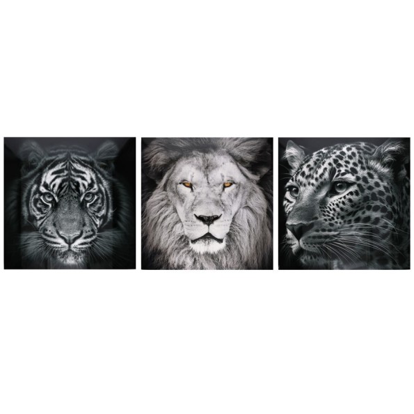 CANVAS ALTO BRILLO ANIMALS 3 SURT 60X60X25 CM