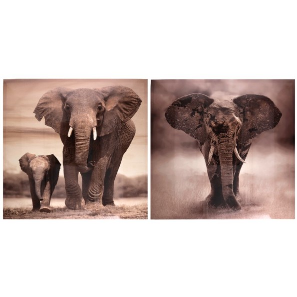 CANVAS ALTO BRILLO ELEFANTE 2 SURT 60X60X2,5 CM