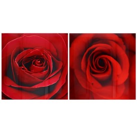 CANVAS ALTO BRILLO ROSA 2 SURT 50X50X1,8 CM