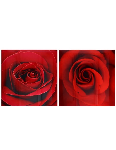 CANVAS ALTO BRILLO ROSA 2 SURT 50X50X1,8 CM