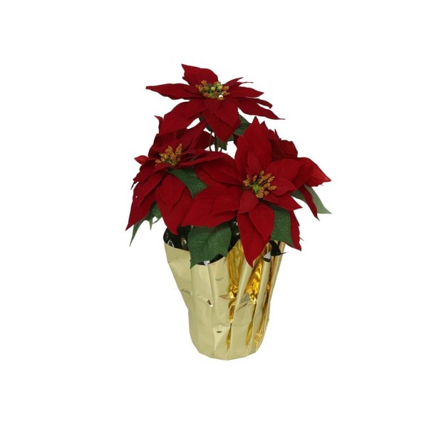 MACETA POINSETTIA BURDEOS 45X38CM