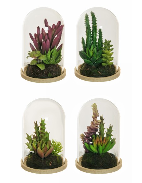 CUPULA CON SUCULENTAS ARTIFICIAL 4 SURT