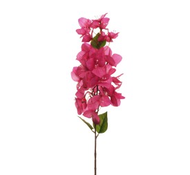 VARA BUGANVILA 80CM FUCHSIA