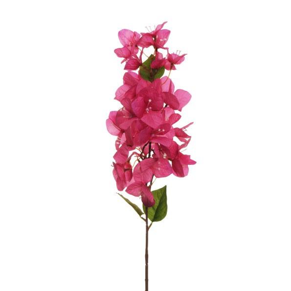 VARA BUGANVILA 80CM FUCHSIA