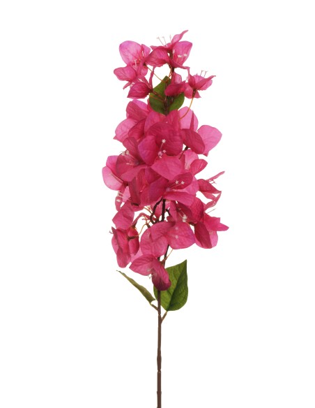 VARA BUGANVILA 80CM FUCHSIA