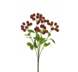 RAMO FRAMBUESA  X5 ROJO