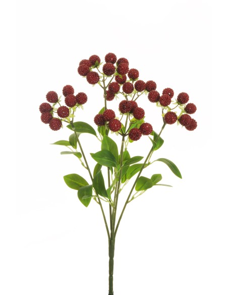 RAMO FRAMBUESA  X5 ROJO