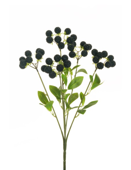 RAMO FRAMBUESA X5 NEGRAS