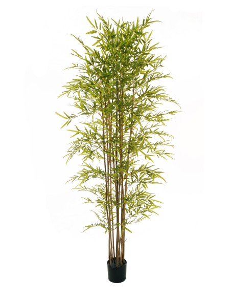 ÁRBOL DE BAMBÚ TACTO NATURAL