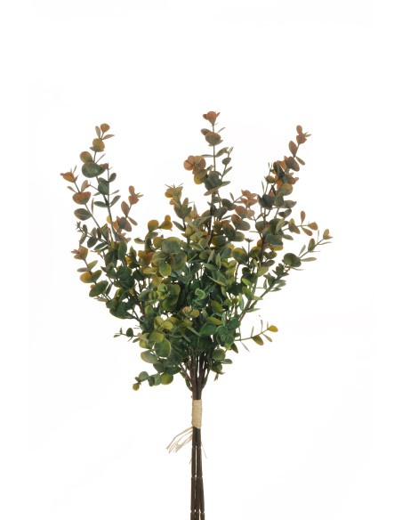 RAMO ATADO EUCALYPTUS X3 VERDE/NARANJA