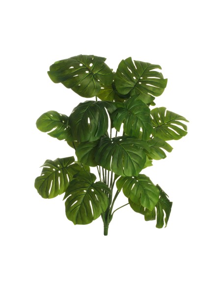 RAMO MONSTERA VERDE