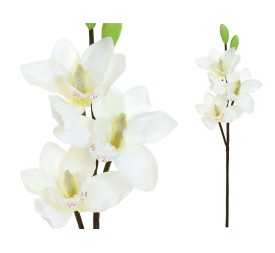VARA CYMBIDIUM X 3 -52CM (BLANCO)