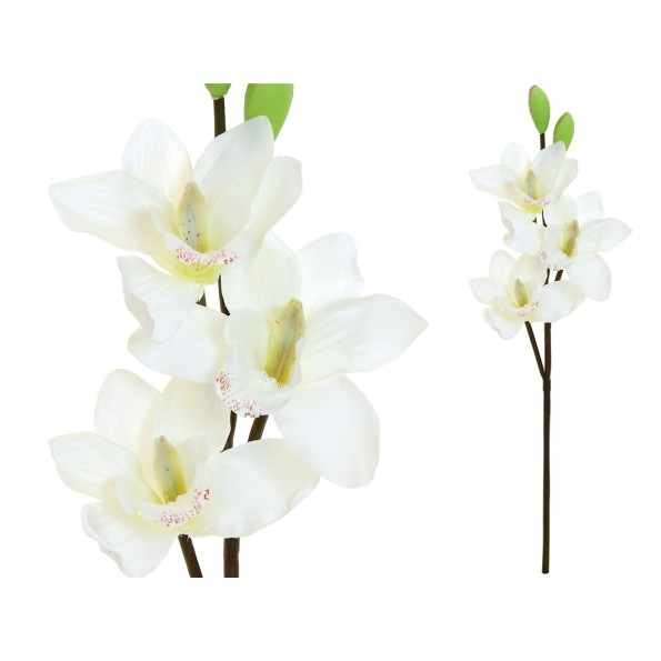 VARA CYMBIDIUM X 3 -52CM (BLANCO)